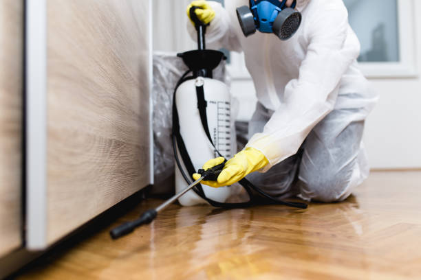 Best Local Pest Control Services  in Union Gap, WA