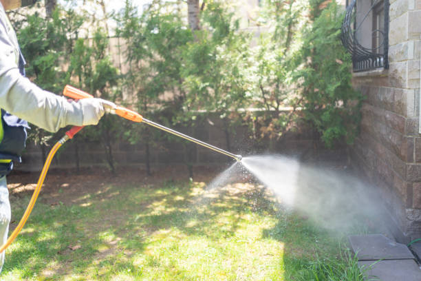Best Insect Control  in Union Gap, WA