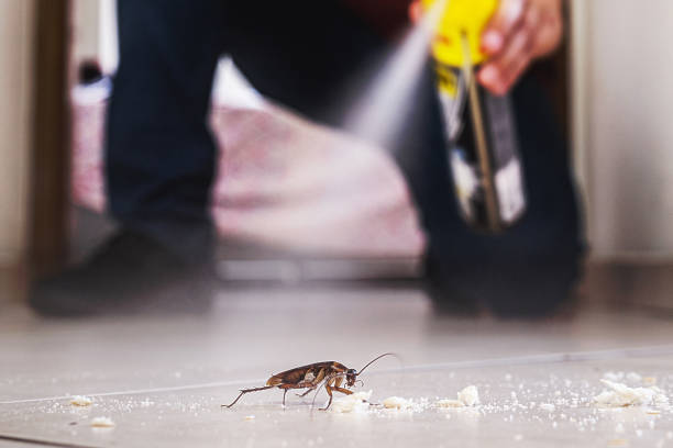 Best Exterminator Services  in Union Gap, WA